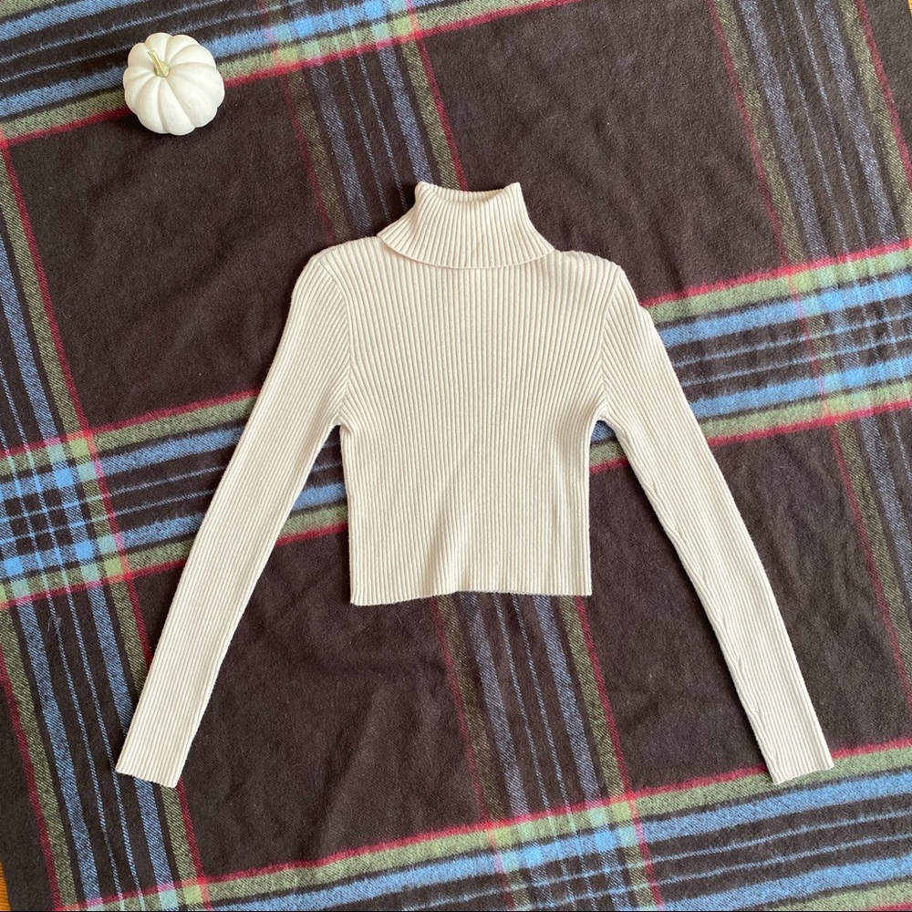 Forever 21 Turtleneck Sweater
